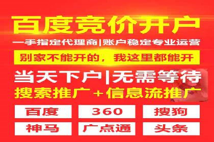 SEM外包公司案例：助力企业拓展海外市场