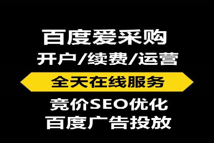 百度新闻源优化：案例解析提升品牌知名度
